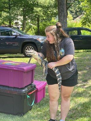 Snakes, alligators, and frogs oh my!!!