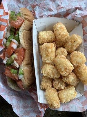 A colorful, well seasoned Chicago hot dog and tater tots