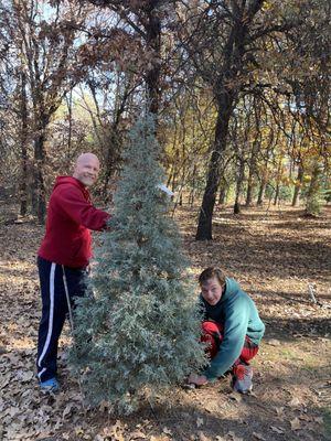 Sorghum Mill Christmas Tree & Blackberry Farm