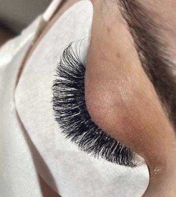 Volume Lashes