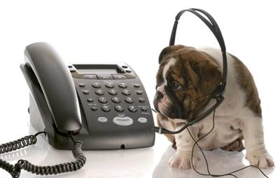 If you can't get a hold of us, we promise we're not ignoring you! Please leave a message and we'll call you back ASAP!