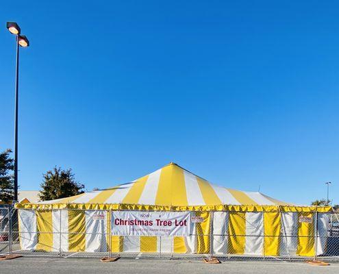 VVG Christmas tent! "There is no blue without yellow" - Vincent Van Gogh