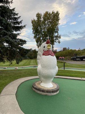 Cluck cluck golf