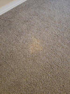 Carpet stain