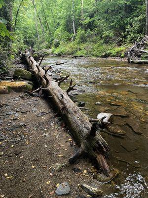 The creek downside of the waterfall