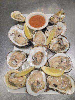 Meaty Gulf Oysters!!!