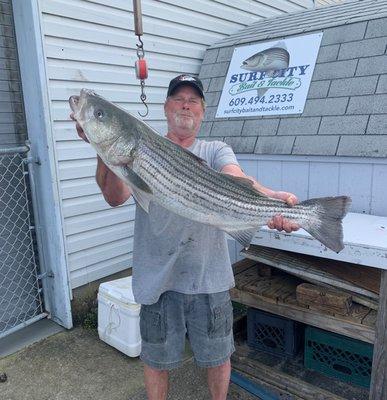 A nice Striped Bass!