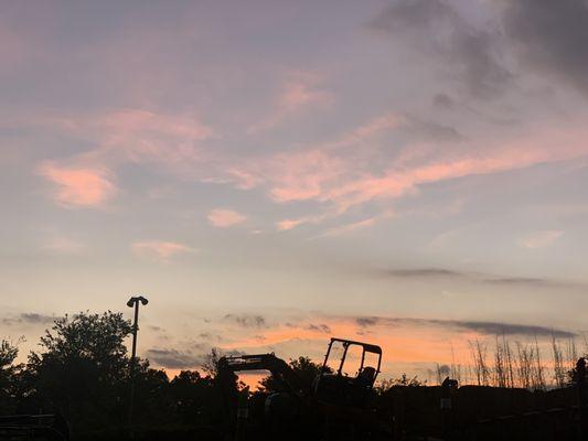 Sunset and caterpillars