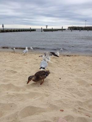 Bay Front Park