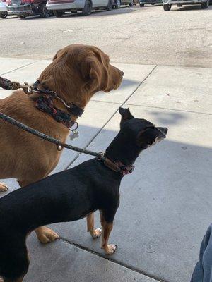 The girls and I just waiting for our Jeep to be done