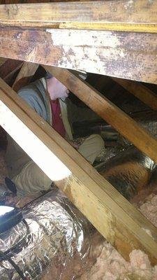 Attic work