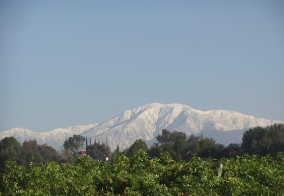 From our office view we see the Spring snow is slowly melting away on Mt. Baldy...