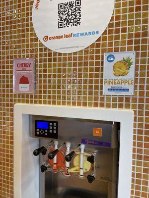 Orange Leaf Frozen Yogurt