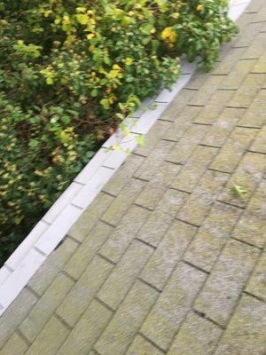 Asolin Roof Repair