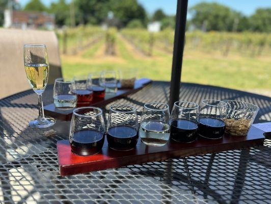 Wine Flight with a Beautiful View