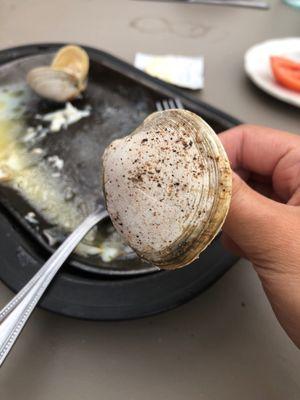 Seasoned clam shell