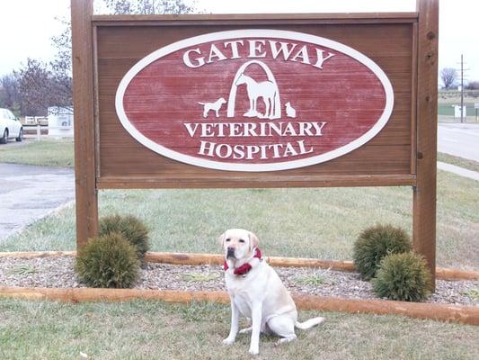 Gateway Veterinary Hospital