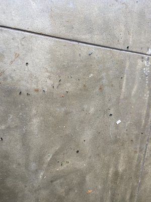 Shattered glass left in my driveway after a repair