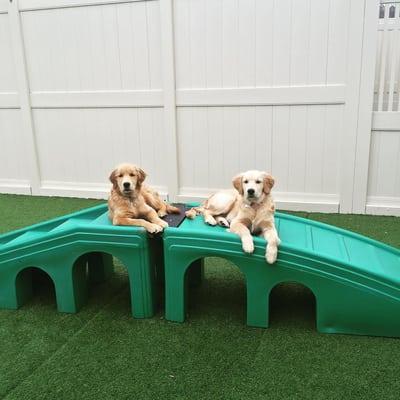 Relaxing on the bridge!