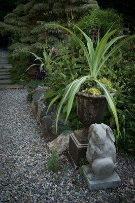 uncommon plants, container gardens, garden statuary