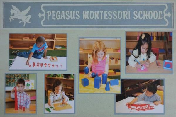 Pegasus Montessori School - Marina, California