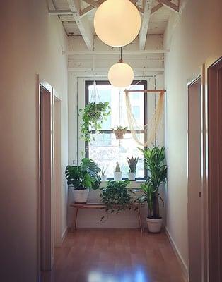 Hallway between treatment rooms. Our studio is filled with light and lots of plants.