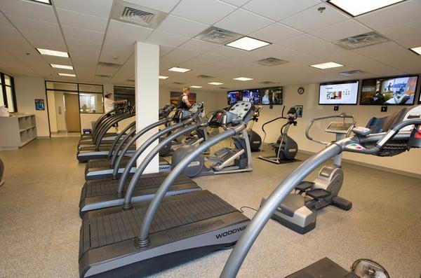 Woodway Treadmills - Cardio Theater