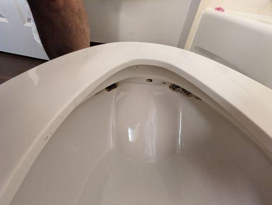 Mold inside toilet