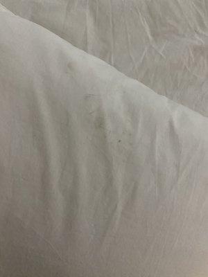 This is mold or a boot print?!?! In the bed