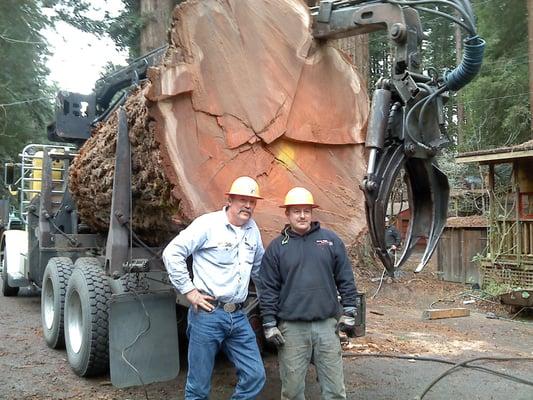 Tree Removal