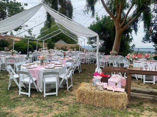 Rustic quincenera