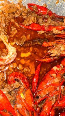 LA Spicy Crawfish