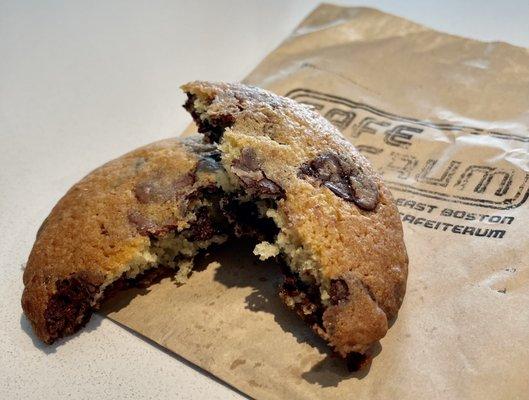 Chocolate Chip Cookie - Yum!