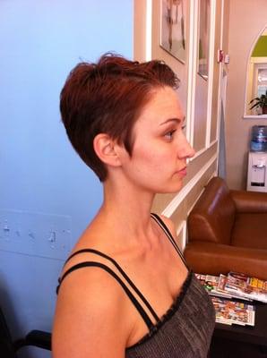 Haircut by Lisa Pomo