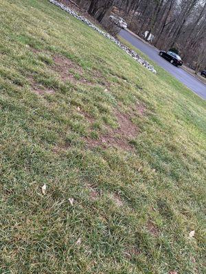 Winter photo- But illustrates two consecutive summers of service.  View from my front yard.