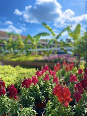 Meyer's Turf & Landscape Nursery