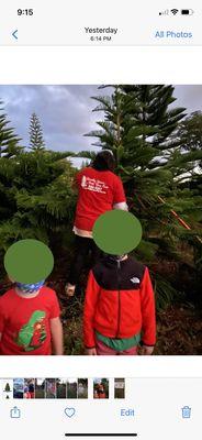 Cutting down the tree