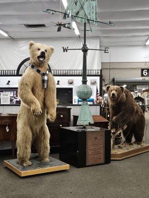 Bears greet you at the entrance of HEART OF OHIO antique center, Springfield Ohio