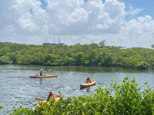 Surfside Adventures - Kayak and Paddleboard