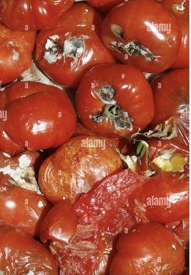 Tomates