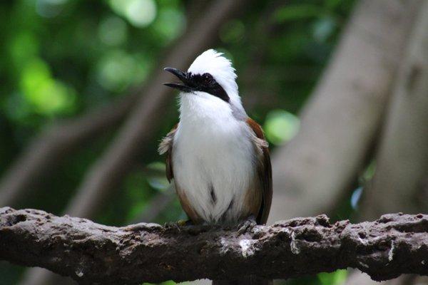 July 4, 2022 - National 
 Aviary, Pittsburgh, PA