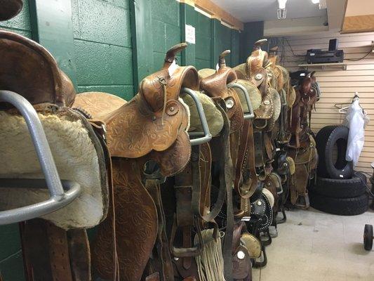 Saddles! They even have saddles!