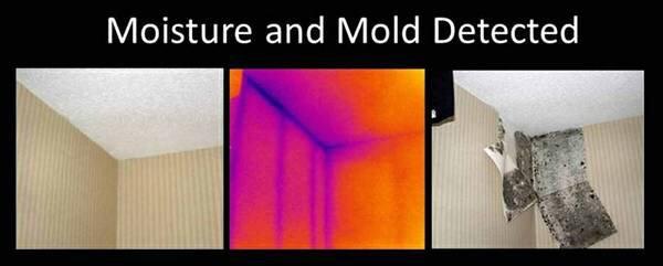 Moisture and mold detection with infrared cameras