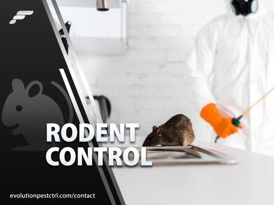 Rodent Control & Removal Services