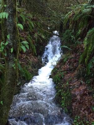 Creek along Deer Trail