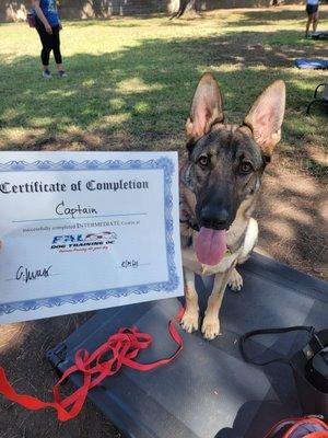 Captain after passing his Intermediate level with Trainer Gabi! Is this award more for me than it is for him?? Hmm...