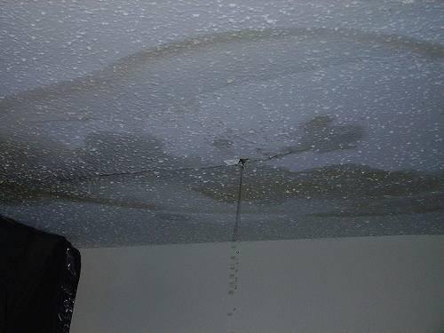 Roof Leaks