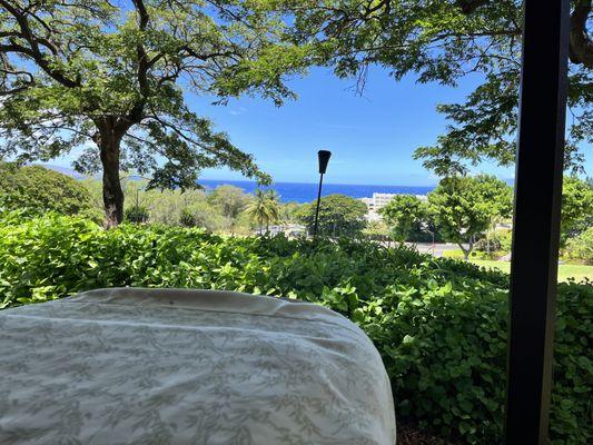 View from the Makalii gazebo