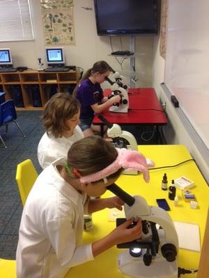 Kids College students gaze into microscopes during summer science classes