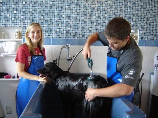 Our water is controlled to the perfect temperature, not too hot and not too cold so your dog enjoys a nice, warm bath